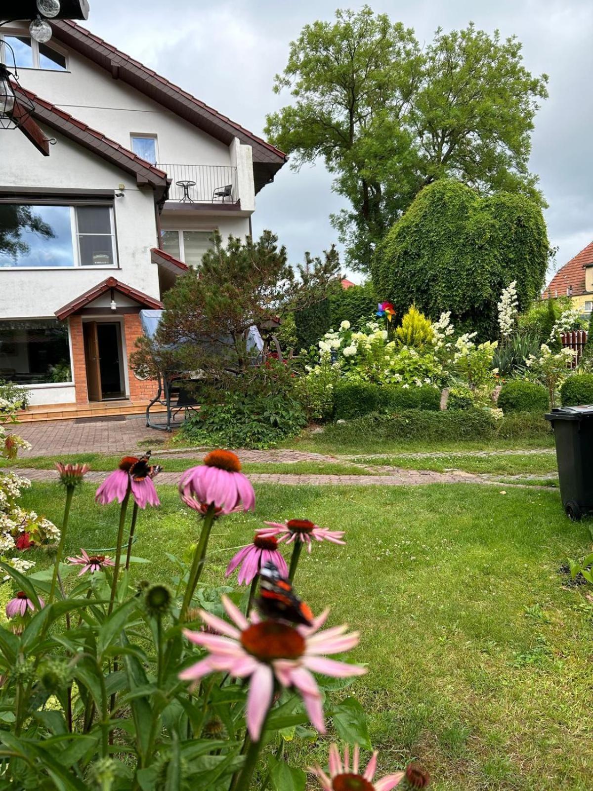 Villa Mielno-Eko Mielno  Kültér fotó
