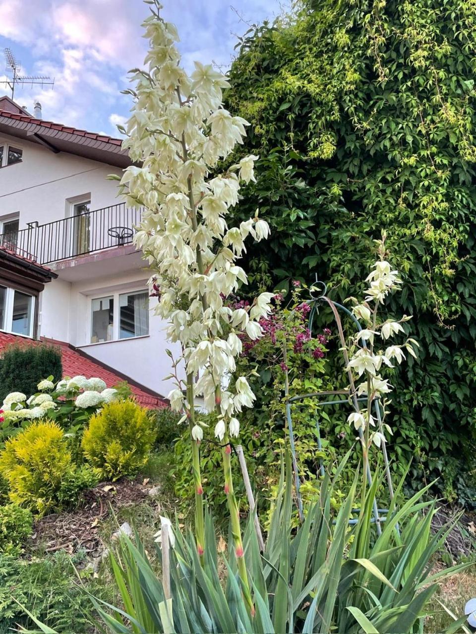 Villa Mielno-Eko Mielno  Kültér fotó