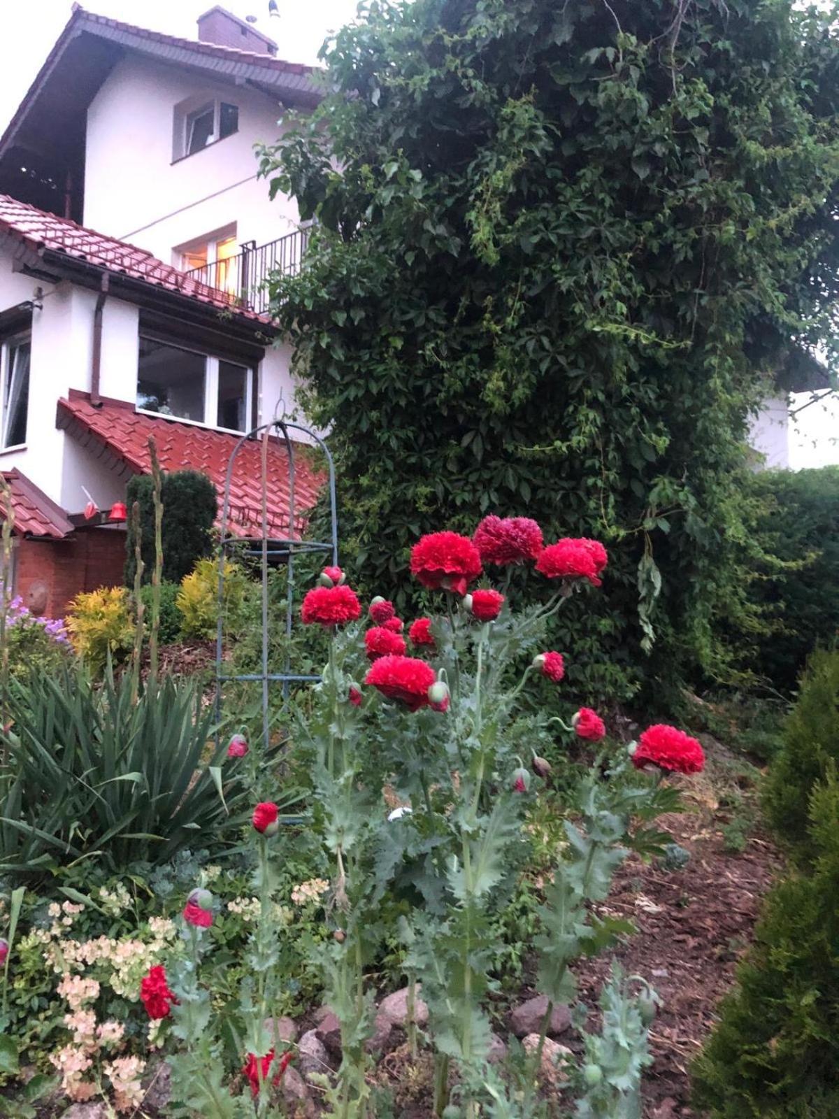 Villa Mielno-Eko Mielno  Kültér fotó